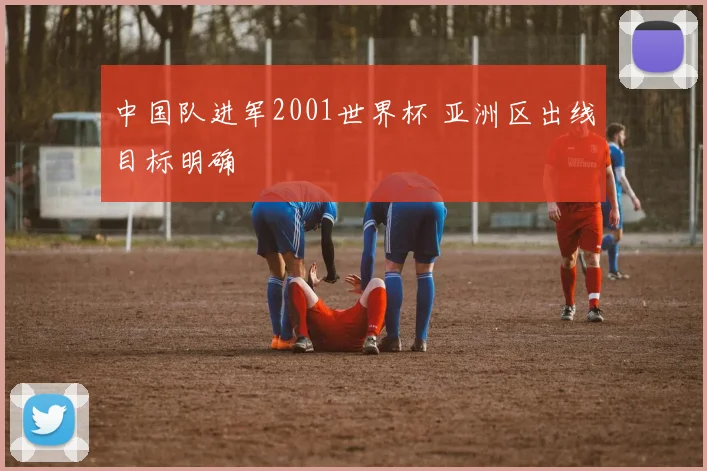 中国队进军2001世界杯 亚洲区出线目标明确