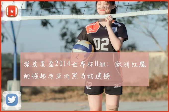 深度复盘2014世界杯H组：欧洲红魔的崛起与亚洲黑马的遗憾