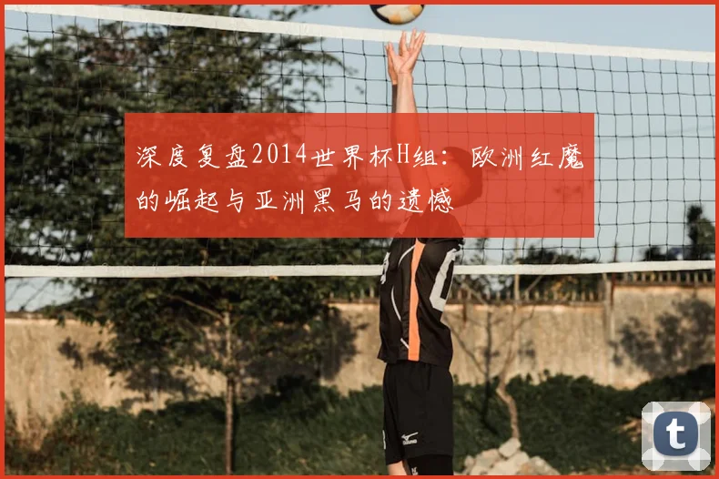深度复盘2014世界杯H组:欧洲红魔的崛起与亚洲黑马的遗憾