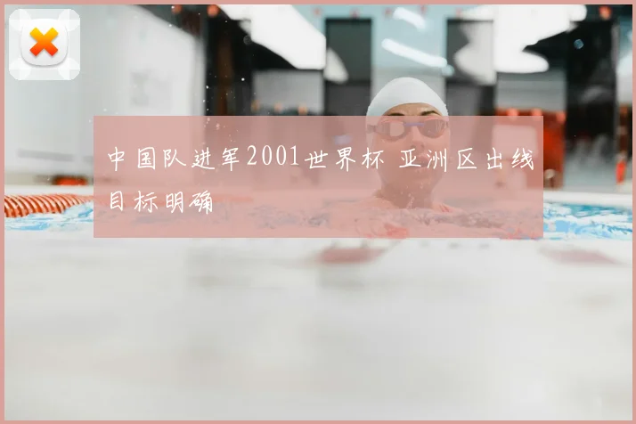 中国队进军2001世界杯 亚洲区出线目标明确