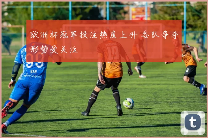 欧洲杯冠军投注热度上升 各队争夺形势受关注