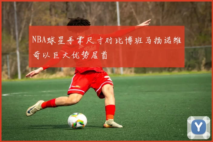NBA球星手掌尺寸对比博班马扬诺维奇以巨大优势居首